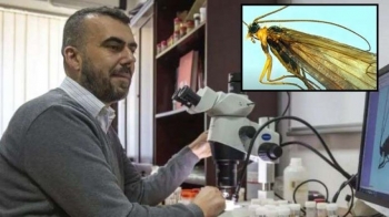 Sot prezantohet insekti i ri i zbuluar në Kosovë
