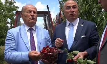 AKB-ja shënon Ditën e Qershisë, “AgroKosova Holding” vlerësohet storie suksesi
