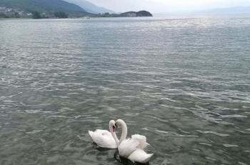 Dita e Liqenit të Ohrit