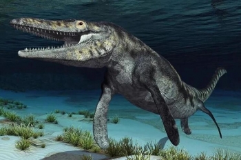 Shkencëtarët në Utah gjetën një fosil mozaauri 94-milionë vjeçarë