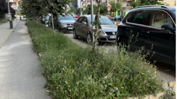 Banorët e rrugës “C”, ankohen se Komuna e Prishtinës nuk ka rregulluar hapësirën gjelbëruese 
