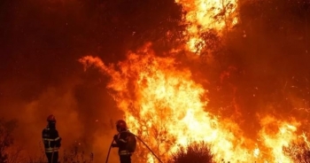 Portugalia po lufton me zjarret