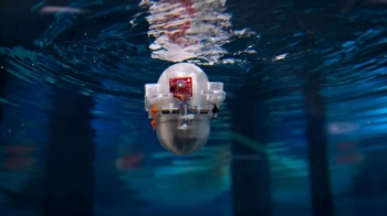 Të thellë dhe të rrezikshëm - a është Inteligjenca Artificiale e ardhmja e eksplorimit të oqeaneve?