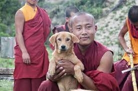 Butani bëhet vendi i parë që sterilizon të gjithë qentë endacakë