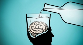 Si ndikon alkooli në tru?