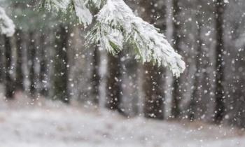 Ftohtë dhe reshje bore sot në Kosovë – apelohet për kujdes në komunikacion 