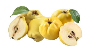 Fruti i stinës, çfarë duhet të dini për ftoin