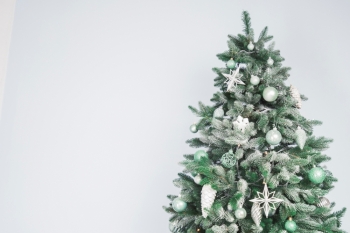 Efektet mjedisore të pemëve të Krishtlindjeve
