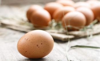 Pse duhet konsumuar vezët rregullisht?