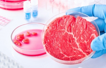 Vendi i pari në botë që miraton shitjen e mishit të viçit të rritur në laborator 