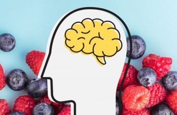 Ushqimet më të mira për trurin që ju ndihmojnë me përqendrimin 