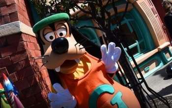 Gruaja padit Disneyland pasi 'Goofy' thuhet se ra mbi të
