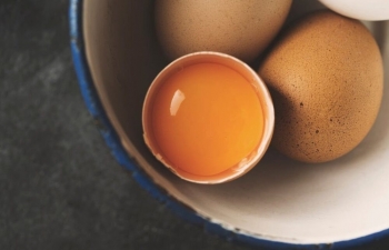 A duhet të pish vezë për një organizëm super të fortë? 