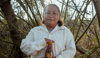 Bletarët Meksikanë përballen me sfidat e Industrisë së Mjaltit dhe përsëri gjejnë sukses