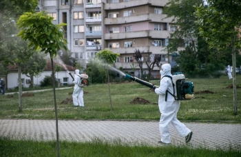 Vazhdon procesi i dezinsektimit hapësinorë në Prishtinë