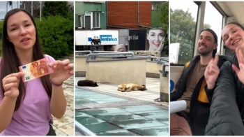 Gjërat që turistët pëlqejnë dhe nuk pëlqejnë në Prishtinë – përmendin qentë endacakë