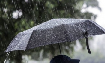 Njihuni me disa fakte interesante rreth shiut që ndoshta nuk i keni ditur më parë!