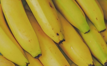 Çfarë i ndodh organizmit nëse hani dy banane në ditë