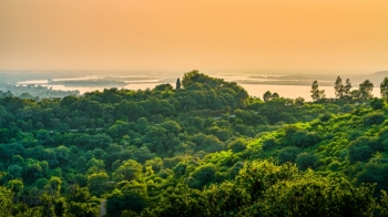 Shpyllëzimi në pyjet tropikale të Amazonës në Brazil është ngadalësuar