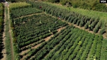 Shqipëri, fermerët e vegjël sfidojnë vështirësitë për të mbështetur turizmin 