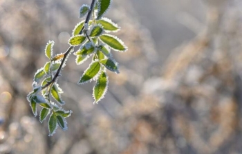 Mëngjesi i ftohtë, gjatë ditës intervale me diell 