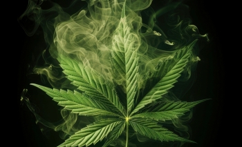Marihuana gjatë shtatzënisë rrezikon jetën e foshnjës