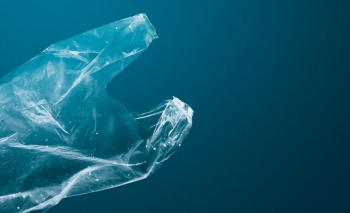 Plastika që zhduket në det për pak orë – shpikje revolucionare nga Japonia