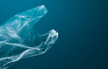 Qeset plastike po pakësohen në bregdetet amerikane falë ligjeve kufizuese