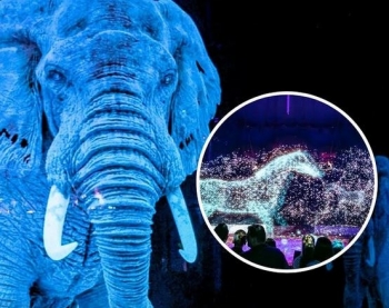 Cirku gjerman pa kafshë magjeps botën me holograme 3D 