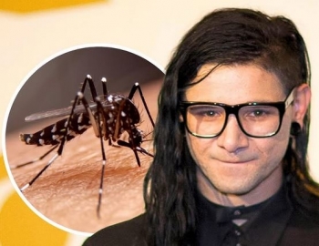 Intreresante! – Dy këngët e Skrillex-it frenojnë pickimet dhe shumimin e mushkonjave që transmetojnë viruse, tregon një studim