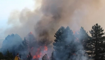 Bashkimi Evropian përjeton sezonin më të rëndë të zjarreve që nga fillimi i matjeve