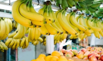 Kujdes me bananet e lagështa - ja çfarë duhet të dini