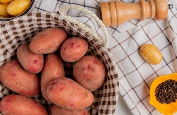 Patatja e ëmbël: Një superushqim me mbi 400% të vitaminës A ditore