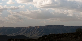 Në vendin më të thatë të Afrikës - vreshti që tashmë po vlerësohet me çmime ndërkombëtare