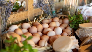 Rritja e çmimeve të vezëve dhe ushqimeve rëndon buxhetin familjar në Kosovë