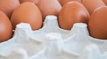 E çuditshme: Vezët në Kosovë tashmë më të shtrenjta se pula