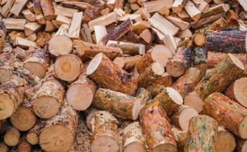 Rënia e kërkesës për dru rrezikon mbylljen e bizneseve në Prizren