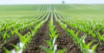 Bujqësia në Kosovë mbetet shtyllë e ekonomisë, rriten eksportet mbi 170 milionë euro