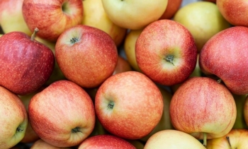 A e mban vërtet molla doktorin larg? Ja çfarë thotë shkenca