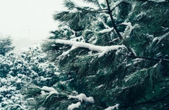 Moti sot kryesisht i vranët, temperaturat minimale deri në -11 gradë