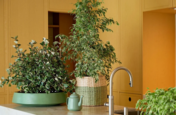 Fikusi shpallet bima e vitit 2026