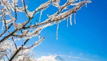 Java nis me diell mirpo temperatura të ulëta