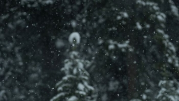 Mot i vranët me reshje të pakta bore