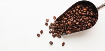 Kafeina: përfitimet, rreziqet dhe sa është e tepërt për trupin tonë
