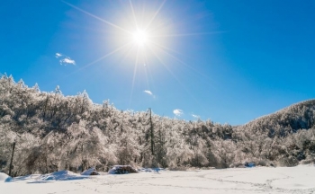 Java nis me diell e borë