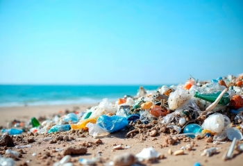 Mbeturina plastike nga Kanadaja dalin në bregun e Orkney, shqetësim për mjedisin dhe jetën detare