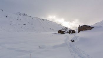 Nju Jorku shpall ndalim qarkullimi për shkak të stuhisë së fuqishme të borës