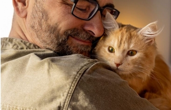 Greqia ashpërson ligjin: Deri në 10 vite burg dhe 50 mijë € gjobë për dhunë ndaj kafshëve