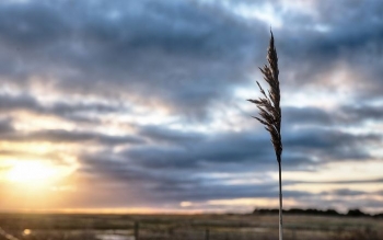 Mot i vranët e me diell, era pritet të jetë jashtëzakonisht e fuqishme në pjesë të Rrafshit të Dukagjinit