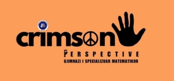 Të rinjtë nga Gjimnazi Matematikor nisin iniciativë kundër bullizmit